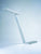 BE Table Lamp